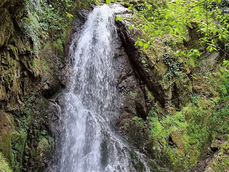 روستای فوشه