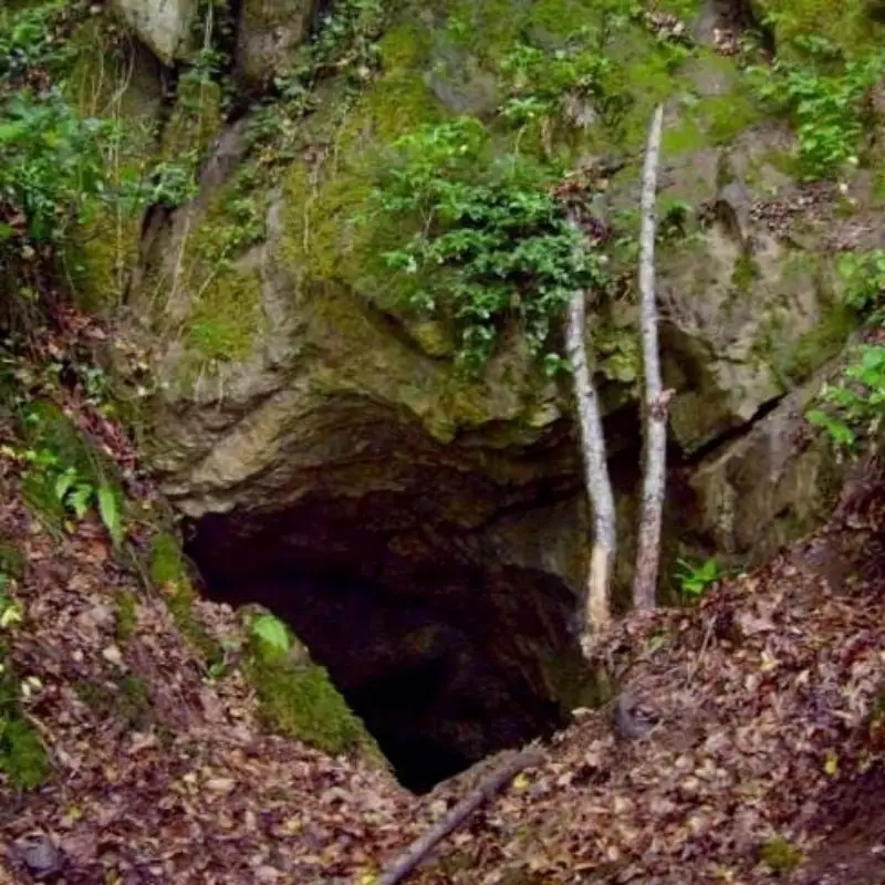روستای فوشه