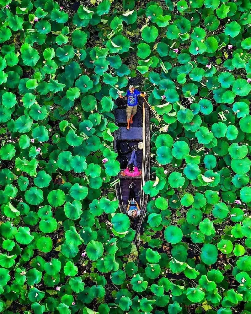 تالاب انزلی