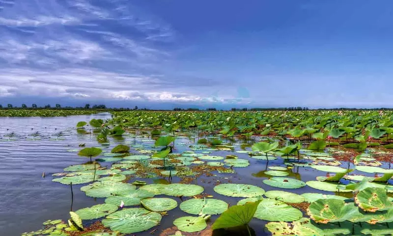 تالاب انزلی