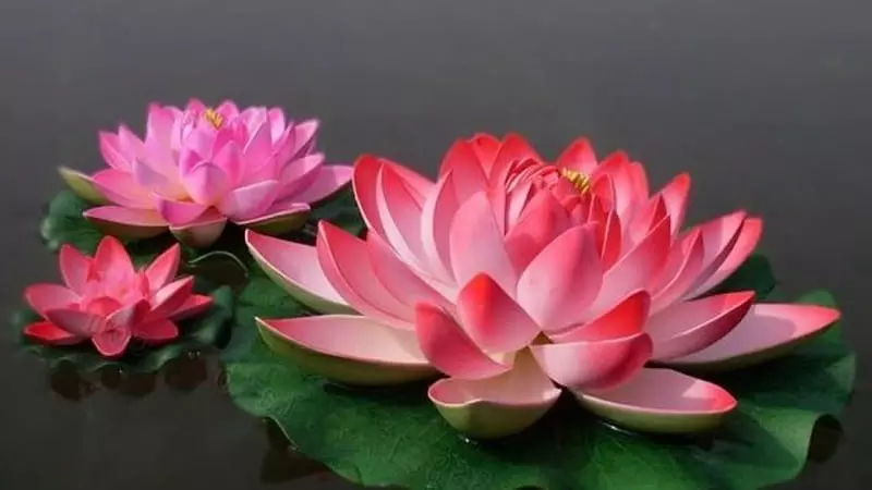 تالاب انزلی