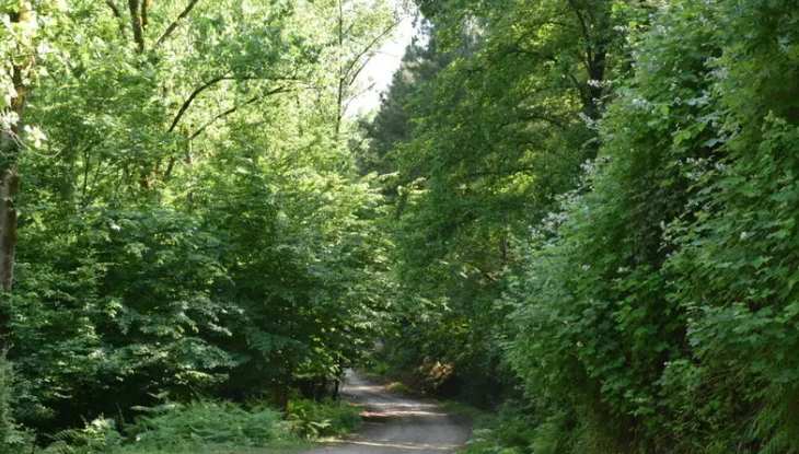 سورتمه حیران آستارا