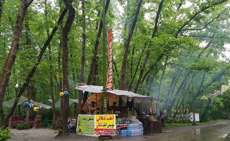 جنگل و ساحل گیسوم