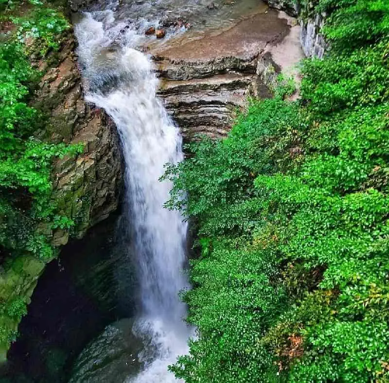 جنگل و ساحل گیسوم