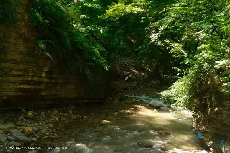 جنگل و ساحل گیسوم