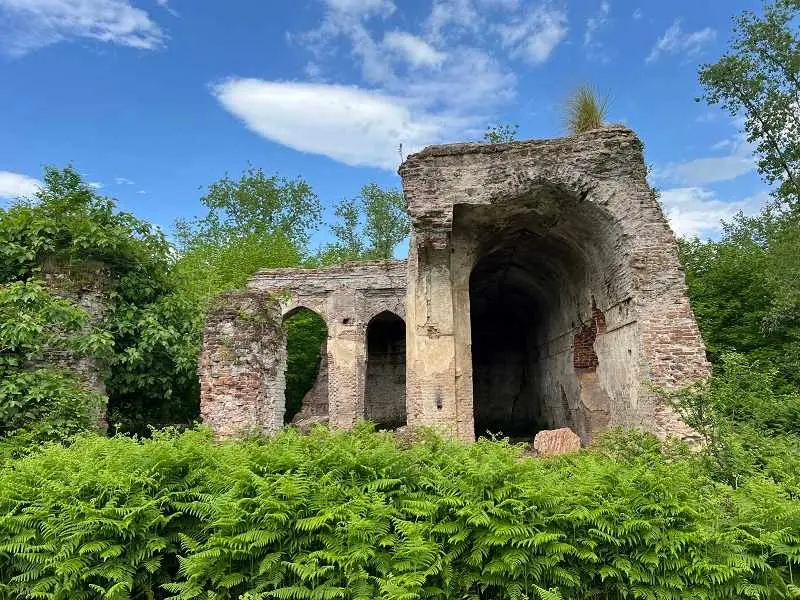 جنگل و ساحل گیسوم