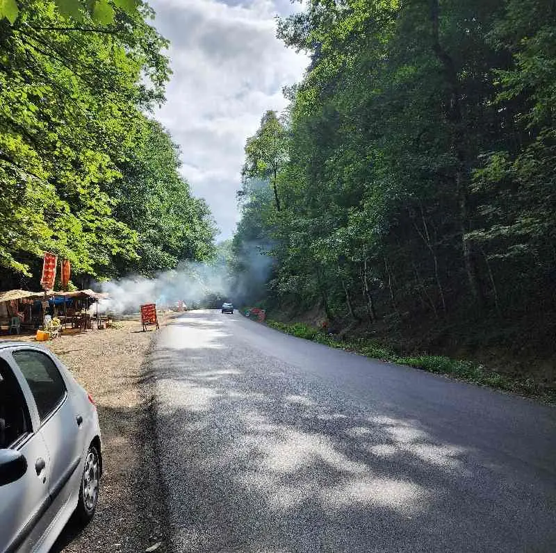 جنگل و ساحل گیسوم