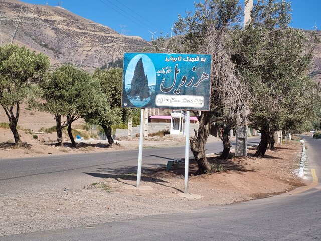 سرو هرزویل منجبیل
